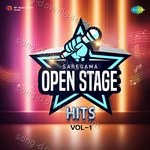 Open Stage Hits - Vol 1 - Raj Vardhan Joshi Song Download