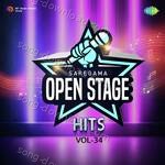 Open Stage Hits - Vol 34 - Raj Vardhan Joshi Song Download